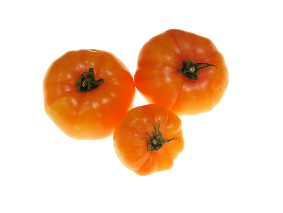 Tomatenvielfalt KW25-26 Tomaten Ananas